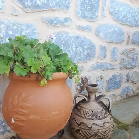Nyaraló μεδ-οίκων γιατριάνων House